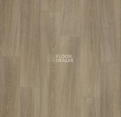 Линолеум Forbo Modul'up Compact Wood 8420UP43C clay oak фото 1 | FLOORDEALER